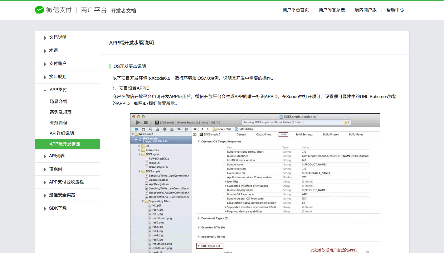 WeChat Payment Wiki Page
